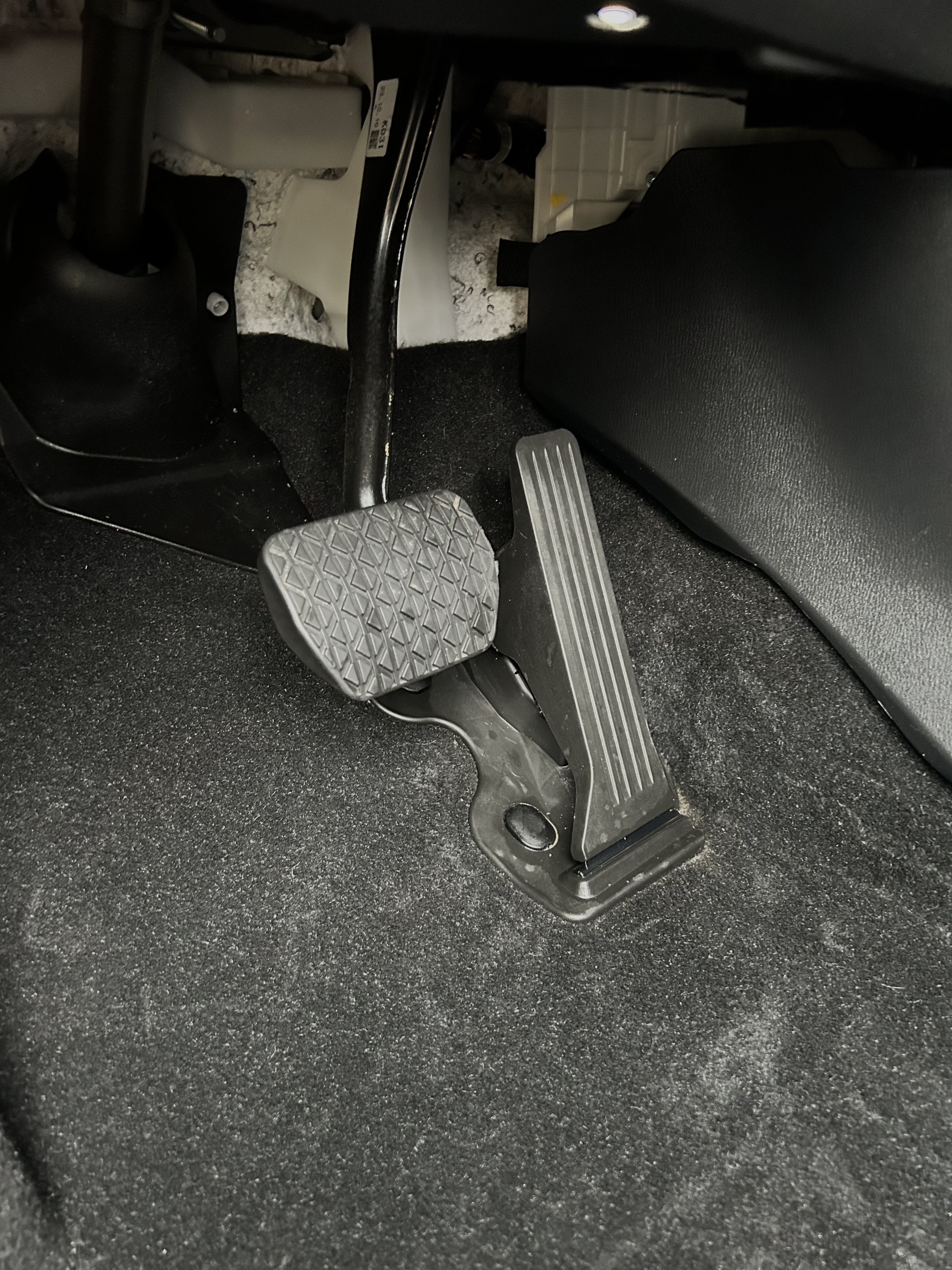 Clean carpet after Ottawa interior detail